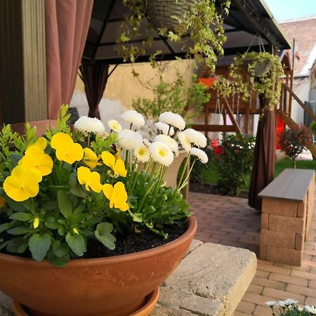 Korzo Apartman Кёсег Экстерьер фото