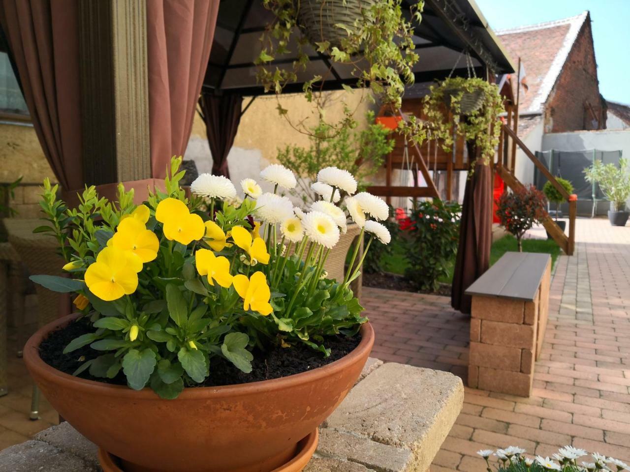 Korzo Apartman Кёсег Экстерьер фото